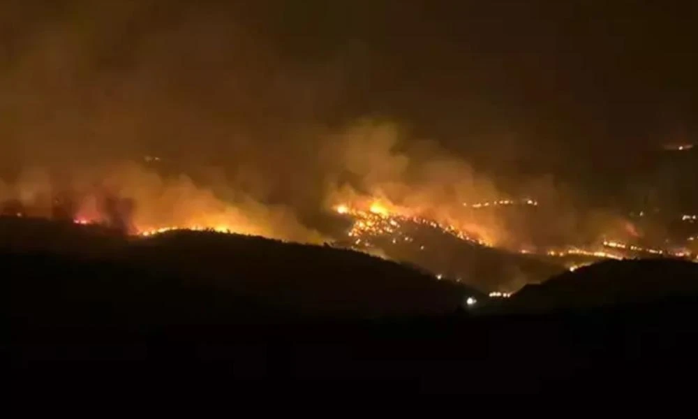 Τουρκία: 11 νεκροί και 44 τραυματίες από μεγάλη αγροτική πυρκαγιά